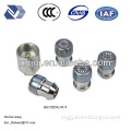 Stainless Steel Self Clinching Security Nut/Security Lock Nuts/Security Nut and Bolt